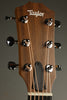 Taylor Big Baby Walnut BBTe Acoustic Electric Guitar - New