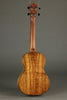 Martin TKE Acoustic Electric Tenor Ukulele