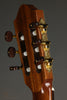 Kremona Fiesta FC Classical Nylon String Guitar - New