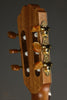 Kremona Sofia S63CW Nylon String Acoustic Electric Guitar -  New