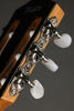 Taylor 812ce-N Nylon String Acoustic Electric Guitar - New