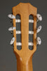 Taylor 812ce-N Nylon String Acoustic Electric Guitar - New