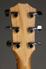 Taylor 214ce-K Acoustic Electric Guitar - New