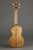 Martin C1K Concert Ukulele - New