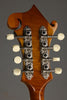 Eastman MD615-GB F-Style F-Hole Mandolin in Goldburst Finish - New