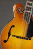 Eastman MD615-GB F-Style F-Hole Mandolin in Goldburst Finish - New