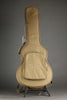 Taylor Guitars T5z Classic Semi-Hollow Electric - New