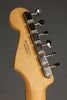 Fender Player II Stratocaster®, Rosewood Fingerboard, Cactus Gray - New