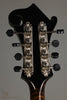 Northfield Big Mon NFB-F5I Icelandic Brown Gloss Mandolin - New