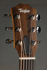 Taylor GS Mini Sapele Acoustic Guitar - New