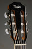 Taylor 812ce-N Nylon String Acoustic Electric Guitar -  New