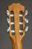 Taylor 812ce-N Nylon String Acoustic Electric Guitar -  New