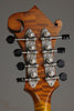 Northfield Artist Series NFA-F51I 5-Bar Bracing Mandolin - New
