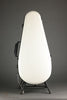 Northfield Artist Series NFA-F51I 5-Bar Bracing Mandolin - New