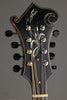 Northfield Artist Series NFA-F51I Amber Mandolin - New