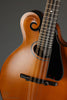 Northfield S Series NFS-F2EWN Amber Matte Mandolin - New