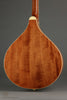 Gold Tone OM-800+ Octave Mandolin - New