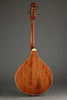 Gold Tone OM-800+ Octave Mandolin - New