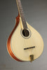 Gold Tone OM-800+ Octave Mandolin - New