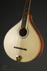 Gold Tone OM-800+ Octave Mandolin - New