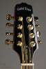 Gold Tone OM-800+ Octave Mandolin - New