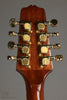 Gold Tone OM-800+ Octave Mandolin - New