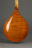 Northfield A5 Special NFMSP-A5WN Amber Gloss Wide Nut Mandolin - New