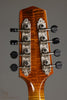 Northfield A5 Special NFMSP-A5WN Amber Gloss Wide Nut Mandolin - New
