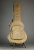 Taylor Guitars T5z Classic Semi-Hollow Electric - New