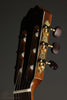 Kremona Verea Nylon String Acoustic Electric Guitar - New