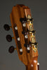 Kremona Verea Nylon String Acoustic Electric Guitar - New