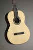 Kremona Romida RD-S Classical Guitar - New