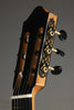 Kremona Romida RD-S Classical Guitar - New