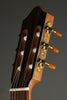 Kremona Sofia SC-T Classical Guitar - New