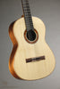 Kremona Rosa Artista RA Flamenco Guitar - New