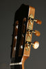 Kremona Rosa Artista RA Flamenco Guitar - New