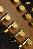 Taylor 264ce-K DLX Acoustic Electric 12-String Guitar - New