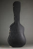 Martin D-17 Steel String Acoustic Guitar - New