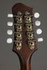 Eastman MD305 Mandolin - New