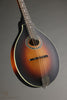 Eastman MD304E-SB Acoustic Electric Mandolin - New