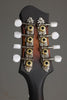 Eastman MD305E-SB Acoustic Electric Mandolin - New