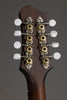 Eastman MDO305 Octave Mandolin - New