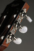 Taylor Guitars 314ce-N Acoustic Electric Nylon String Guitar - New