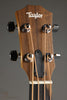 Taylor GS-Mini-e Sapele Acoustic Bass - New