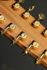 Taylor 260ce-K DLX Bajo Quinto 10-string - New