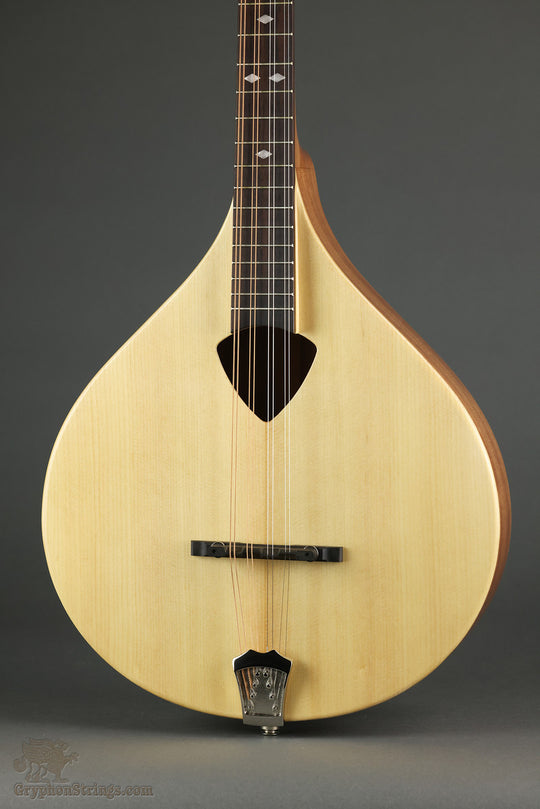 Gold Tone BZ-500: Irish-Tuned (GDAD) Bouzouki Mandolin - New