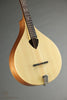 Gold Tone BZ-500: Irish-Tuned (GDAD) Bouzouki Mandolin - New