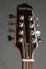 Gold Tone BZ-500: Irish-Tuned (GDAD) Bouzouki Mandolin - New