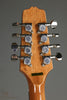 Gold Tone BZ-500: Irish-Tuned (GDAD) Bouzouki Mandolin - New