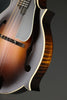 Northfield S Series NFS-F5 Sunburst Matte Mandolin - New
